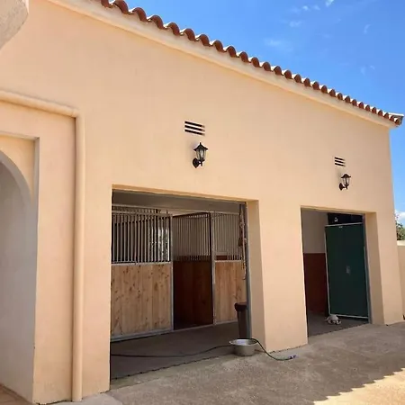 Holiday home Spaanse Met Zwembad Castellon de la Plana
